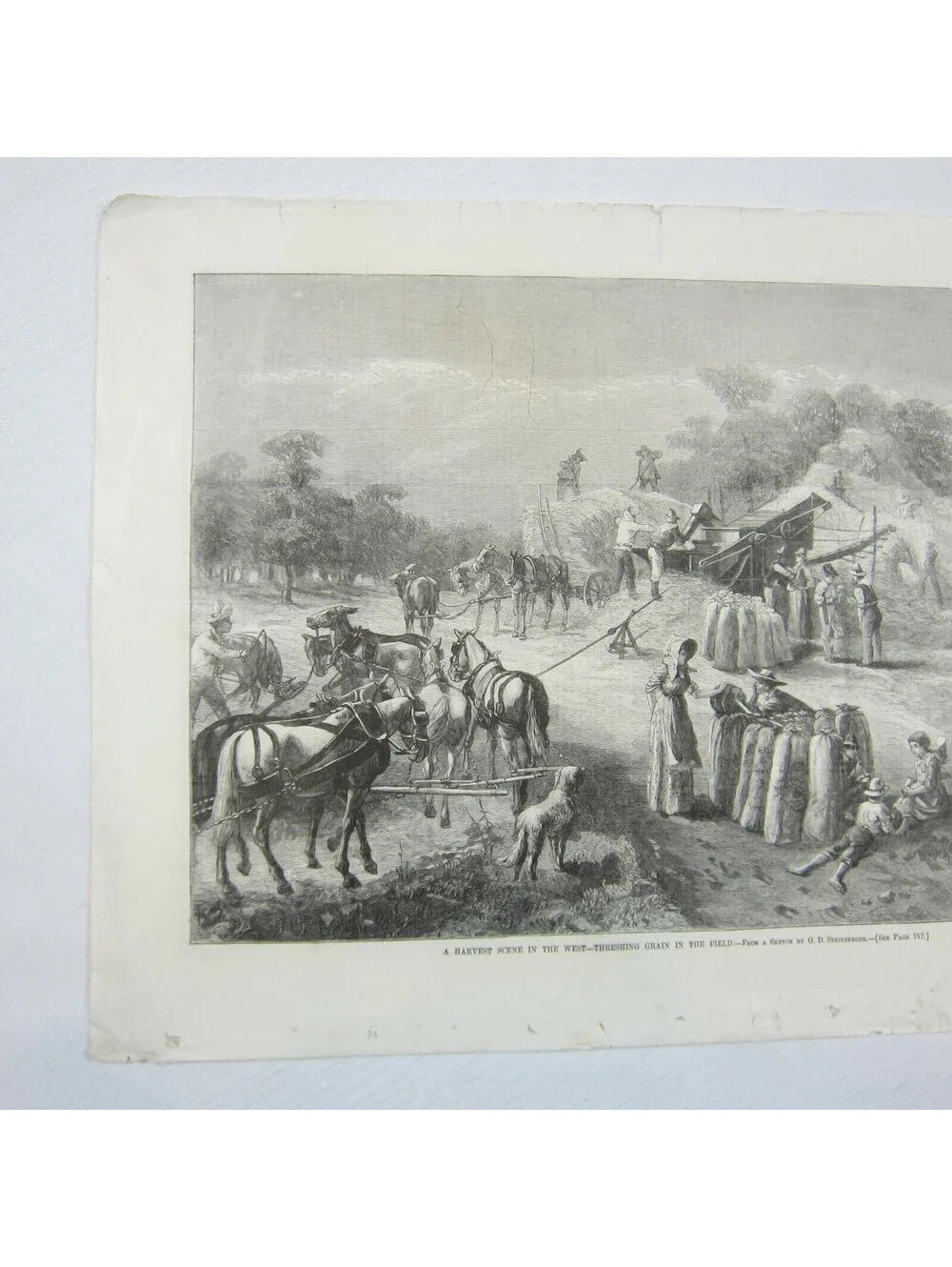 Antique 1878 Print A Harvest Scene in the West O.D. Steinberger Harper’s Weekly